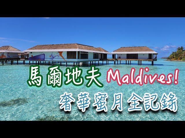 A Must-go Dream Island: Maldives! | Snorkeling with Turtles | Unpacking Ultra-Luxury Sea Resorts