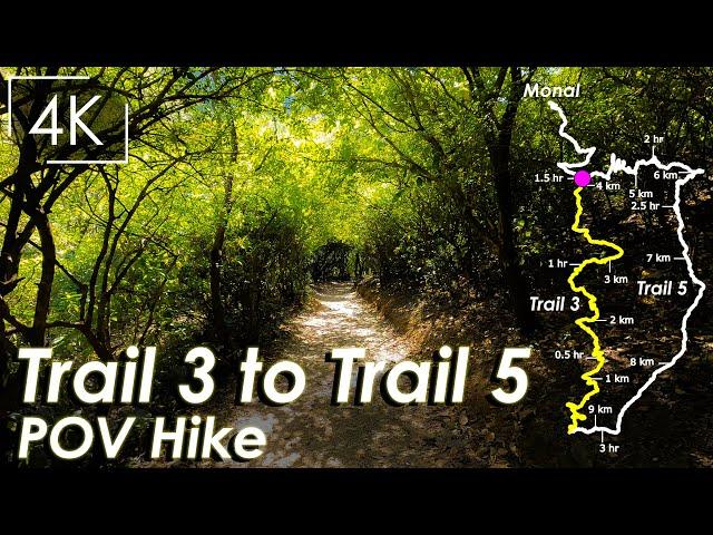 Trail 3 to Trail 5 Loop Hike with Live Map - POV Hike with No Music and No Commentary - 4K