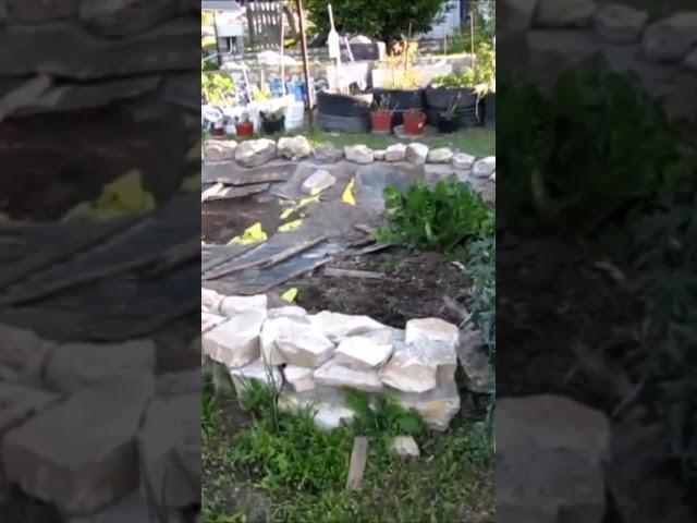 FRUGAL GARDEN PROJECT - STONE WALL GROWING BED