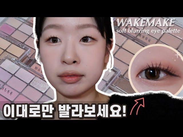 웨이크메이크 NEW 소프트 블러링 아이팔레트! 무슨 컬러 사야할지 모르겠으면 들어오세요! [소블아 백과사전]