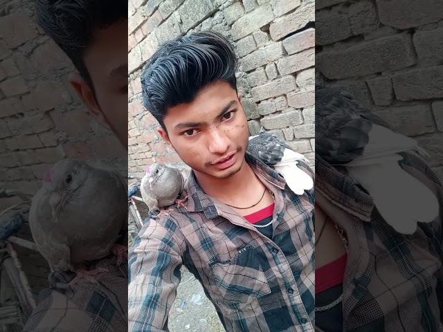 Tera Dil mere pass rahne de ️@Arjun-Rana-4 @Arjun-Rana-4