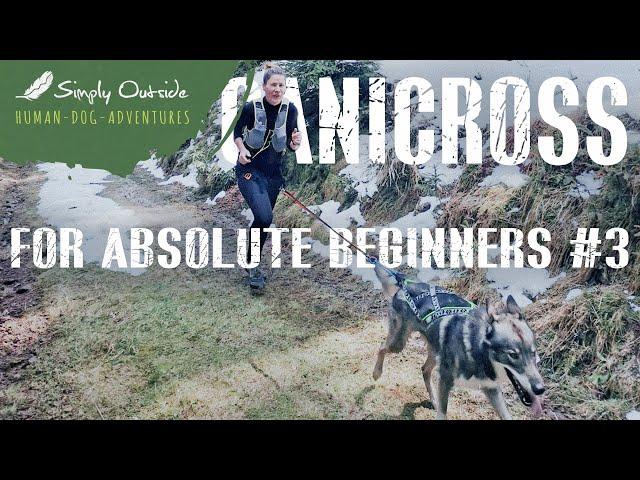 Canicross for absolut Beginners #3 Praxis