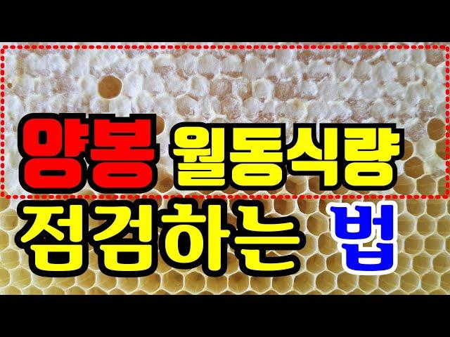 월동식량 중간 점검하는 법