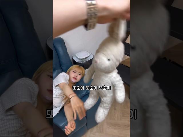 애착인형 토순이 #윗유하우스