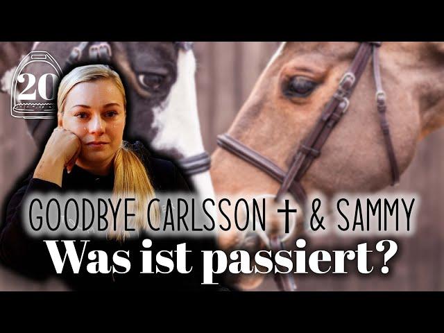 Goodbye Carlsson † & Sammy | #20