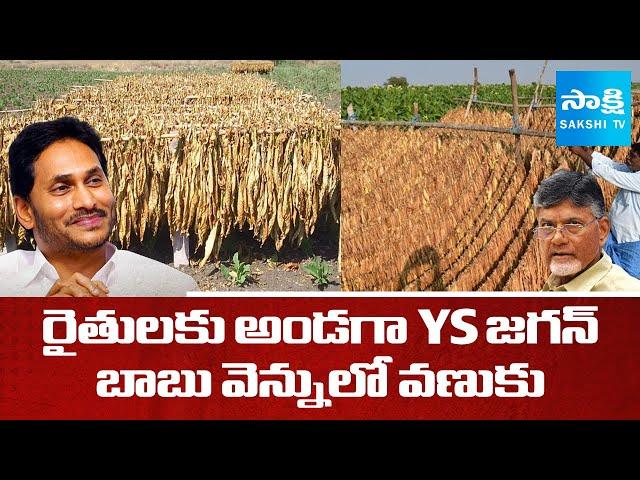 YS Jagan Supports to Tobacco Farmers | Chandrababu Govt Negligence | @sakshitv