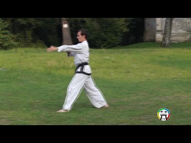 Обучение Юль Гок(вид Сзади), Taekwondo Yul-Gok (back)