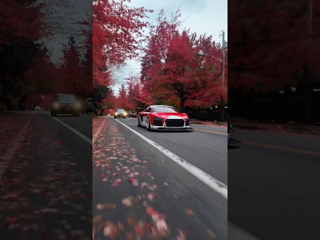 The track Audi R8 looking majestic on the PNW roads ️️️
