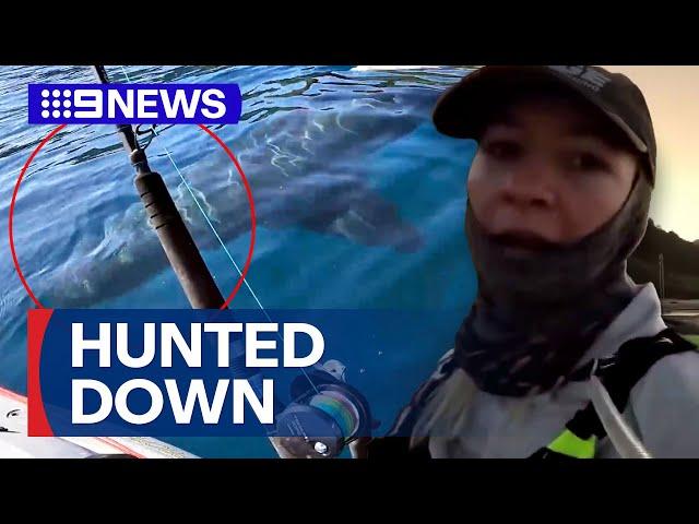 Man shares nail-biting video of being hunted down by a shark | 9 News Australia