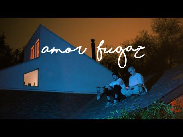 Amigo de Artistas - Amor Fugaz (Visualizer)