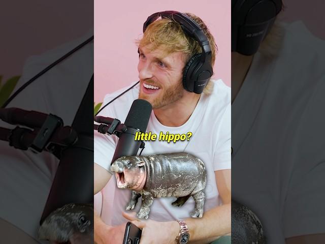  Moo Deng is DANGEROUS!