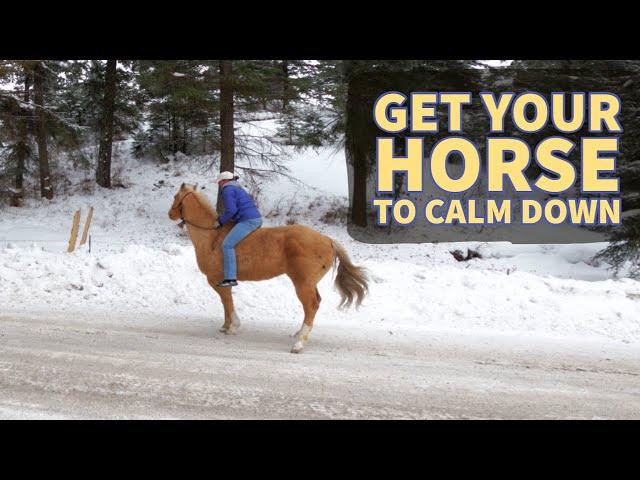 GETTING A NERVOUS HORSE TO RELAX ON A RIDE