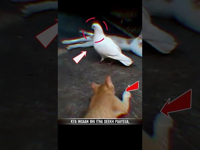 "Unbelievable Friendship  ! ️️ #hearttouching #Funny #facts