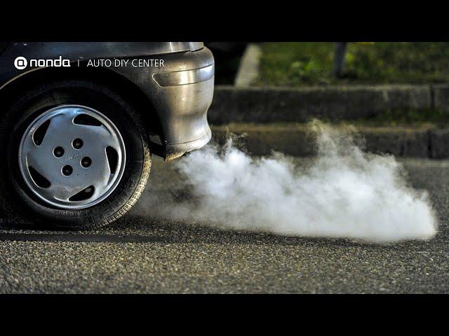 Vehicle Emissions Explained