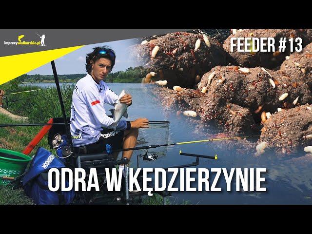 FEEDER #13 Rzeka ODRA w Kędzierzynie i DWA sposoby nęcenia leszczy