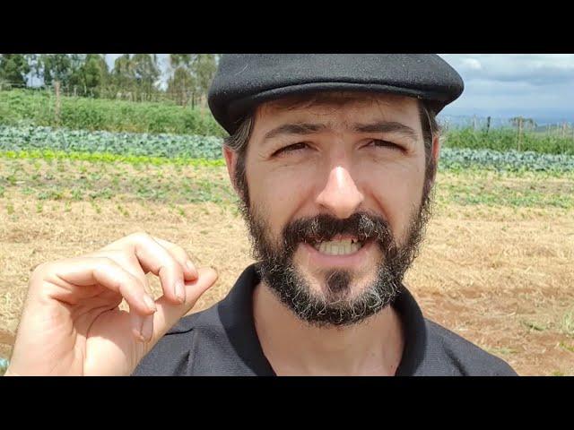 INTENSE ORGANIC VEGETABLE PRODUCTION | AGROFORESTRY PRINCIPLES APPLIED TO VEG SYSTEM @ SITIO SEMENTE