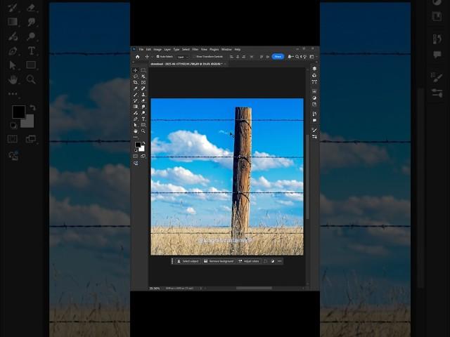 How to Remove Fences In Adobe Photoshop 2025 #logo_academy