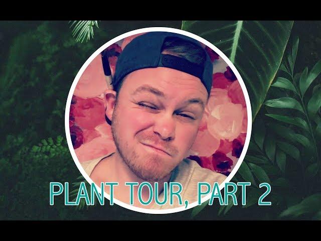 Plant Tour, Part 2