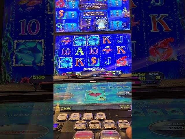 겜블이 계속 안맞네.. 망했..  강원랜드 잭팟 보너스 시카고잭팟 북 조개 구슬 겜블 슬롯 slot machine gambling(@슬롯겜블러이준)