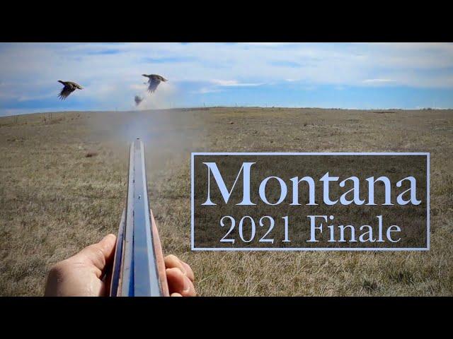 Montana 2021 pt 3 Tons-o-Huns! Sharpies too!