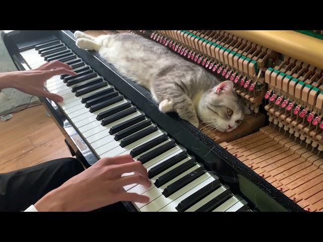 Doraemon Theme Song - Piano Meowssage