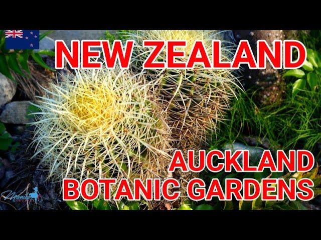 AUCKLAND BOTANIC GARDENS | NEW ZEALAND - WALKTHROUGH (FALL 2025) @ManilaShopper