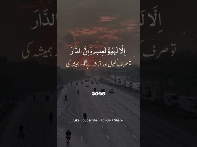 QURAN RECITATION  QURAN FOR all #quran #quranrecitation #viralvideo