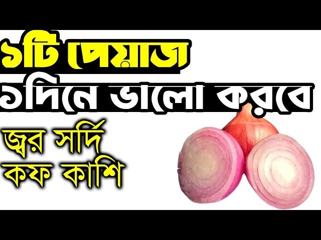 একটি পেঁয়াজ ১ দিনে ভালো করবে জ্বর, সর্দি, কাশি, কফ, ও দীর্ঘদিনের হাঁপানি | Onion Benefits