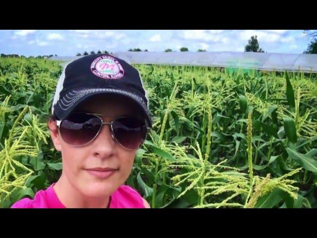 Women in the Agricultural Workplace: A Documentary by AgCareers.com