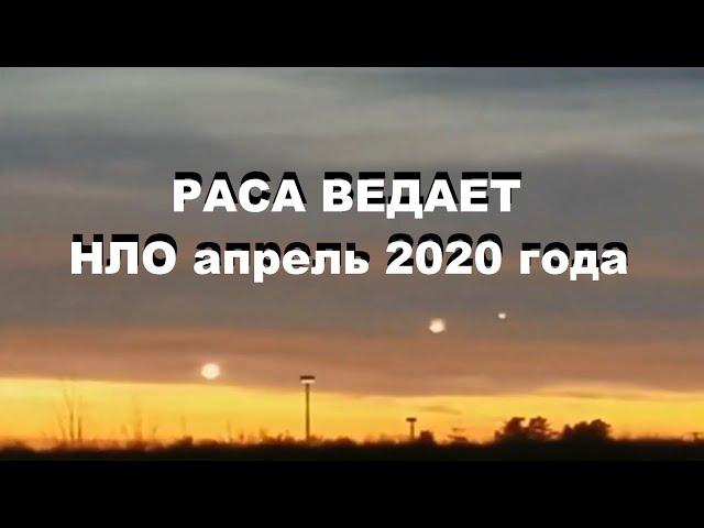 РАСА ВЕДАЕТ  - НЛО апрель 2020 года