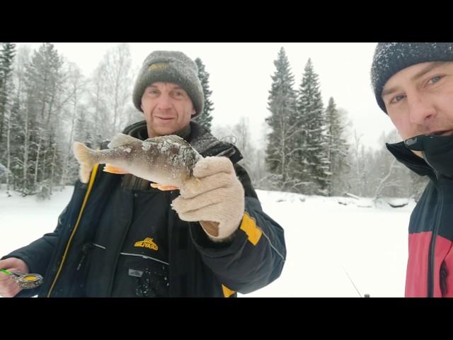 Рыбалка выходного дня на маленькой таежной речке Уролка 25.01.20