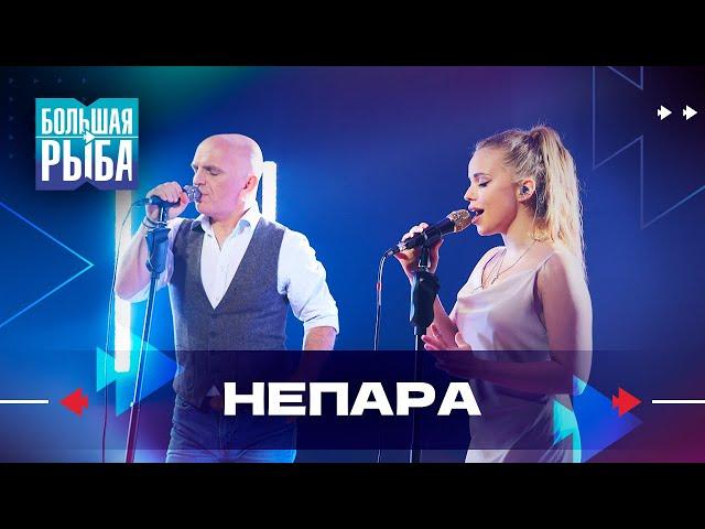 НЕПАРА. Концерт | Живой звук