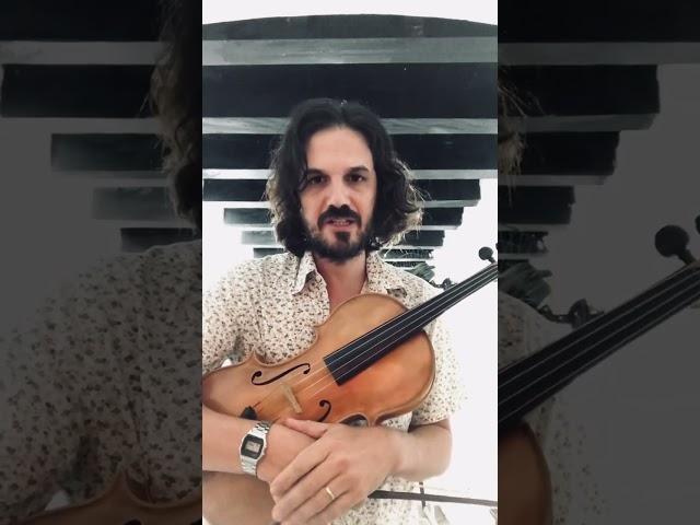 CURSO DE VIOLA CLÁSSICA | Professor Mitchell Assis | Escola Livre de Música de Limeira