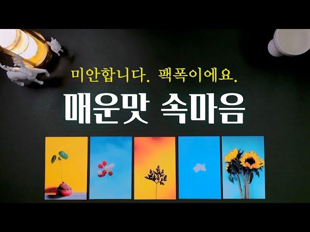 [타로] 그 사람의 속마음. 그런데 이제 매운맛을 곁들인.