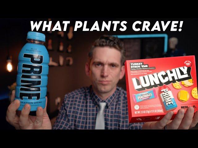 The Truth About Electrolytes (PRIME and Lunchly) - Doctor Explains