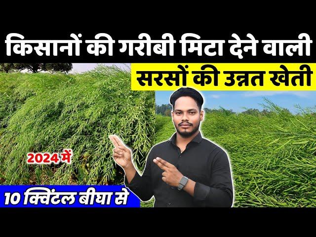 सरसों की खेती 2024Sarso ki kheti kab aur kaise karen A to Z जानकारी | Mustard farming