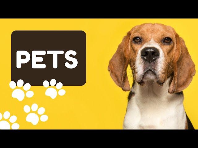 Learn Names of Pets for Kids - Pet Animal Names and Sounds for Children, Kindergarten and Preschool