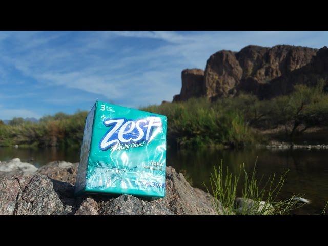 Zest Aqua