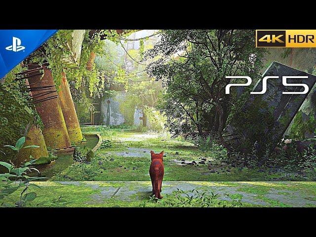 (PS5) Stray is simply the Cutest game ever... [4K HDR 60 FPS Gameplay]