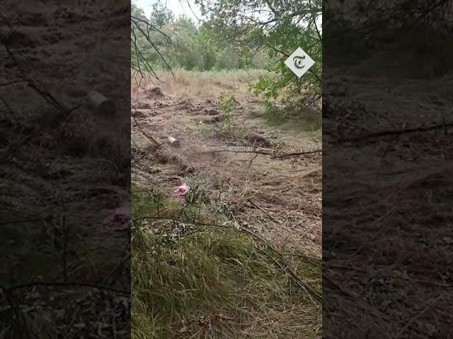 Ukrainian soldier detonates mine with a large stick