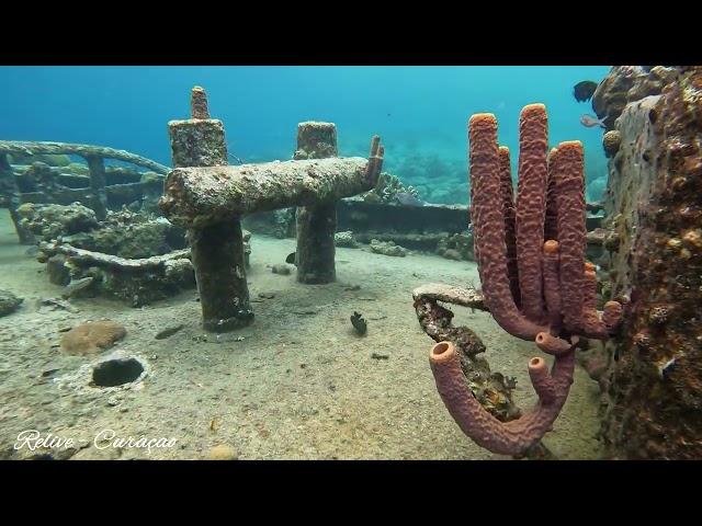 Duiken in de caribbean, Curacao bij de Tugboat 16 03 2022