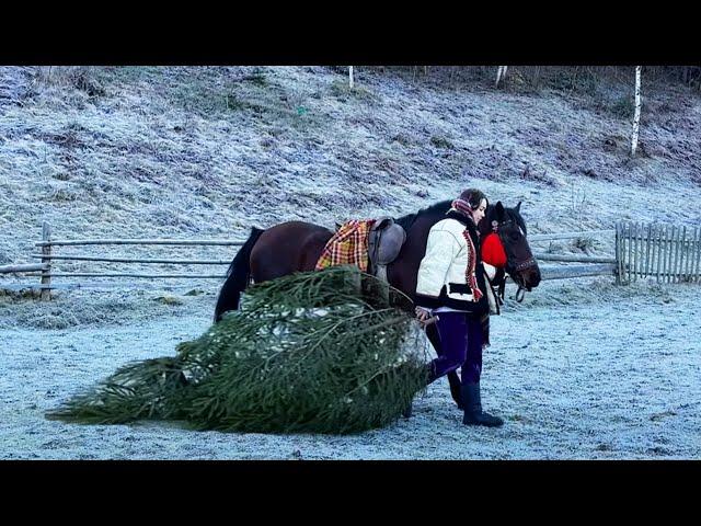 Life in the Mountains: Christmas Far from Civilization  Rural Life & Traditions