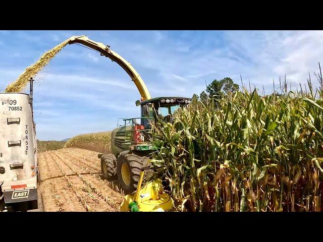 Corn chopping is finally rolling!