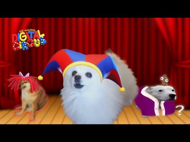 The Amazing Digital Circus Dog Version