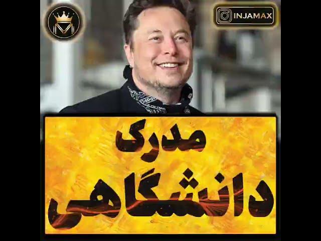 elon musk University degree