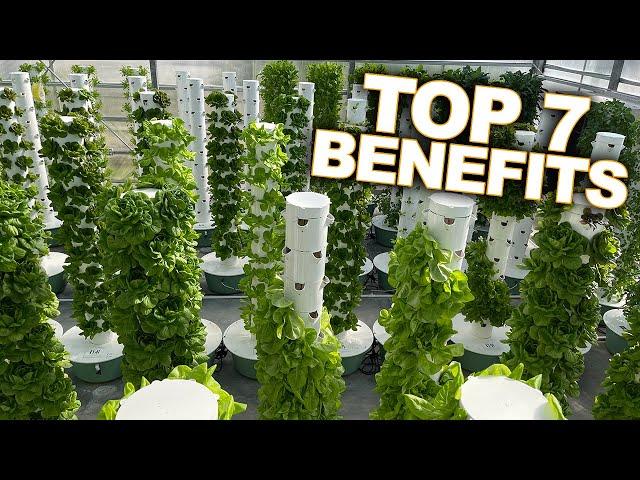 Vertical Farming with Aeroponics: Top 7 Benefits of a Tower Farm