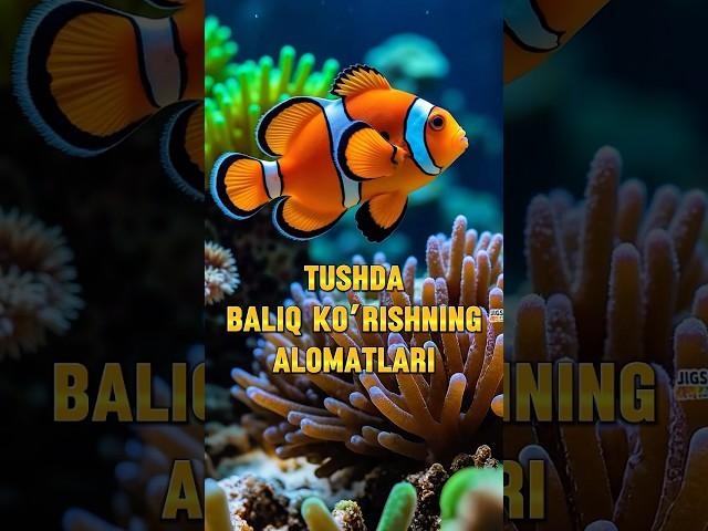 Tushda baliq ko’rishning alomatlari ! #islamicshorts #hadis #animals #ibrat #islom