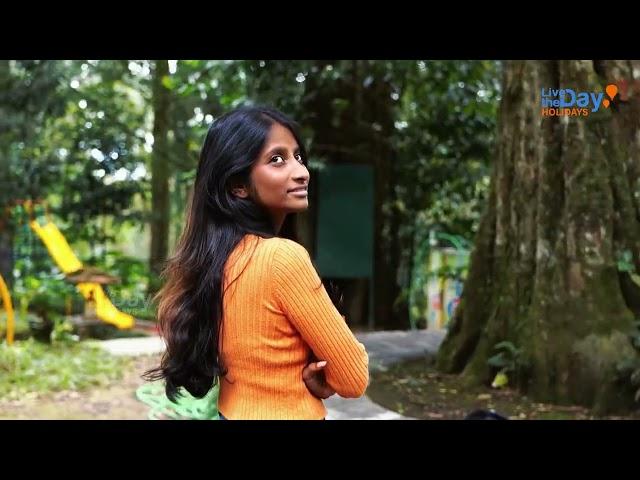 EXPLORING TALL TREES | PREIMIER NATURE - FRIENDLY RESORT | MUNNAR | LIVE THE DAY HOLIDAYS