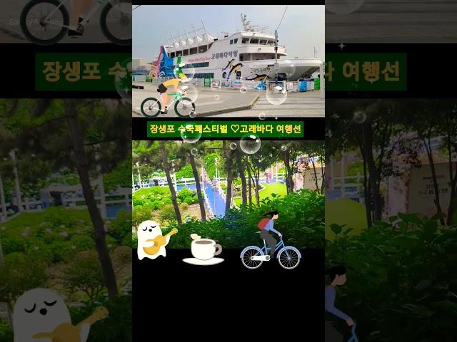 울산 장생포 수국 페스티벌찐이야 ~영탁#shorts