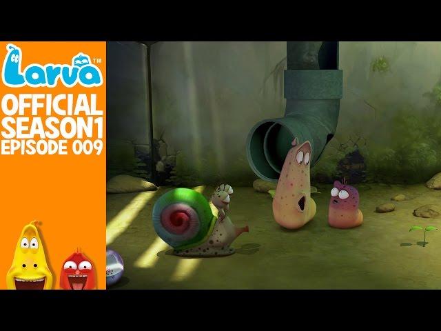 [Official] Snail - Larva Season 1 Episode 9